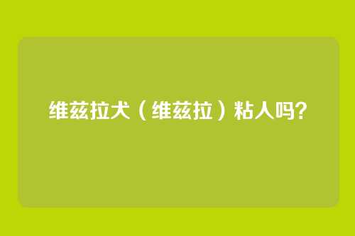 维兹拉犬(维兹拉)粘人吗?
