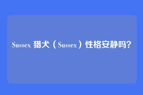 Sussex 猎犬（Sussex）性格安静吗？