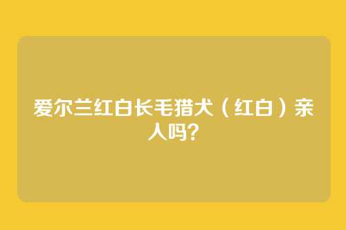 爱尔兰红白长毛猎犬(红白)亲人吗?