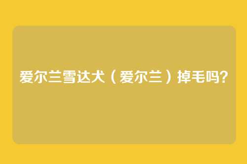 爱尔兰雪达犬（爱尔兰）掉毛吗？