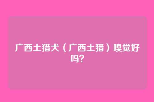 广西土猎犬(广西土猎)嗅觉好吗?