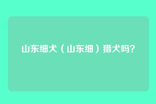 山东细犬(山东细)猎犬吗?