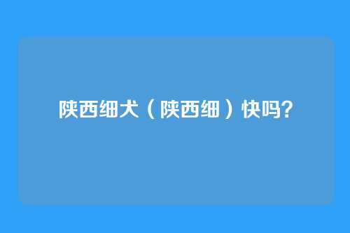 陕西细犬(陕西细)快吗?