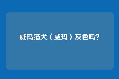 威玛猎犬（威玛）灰色吗？