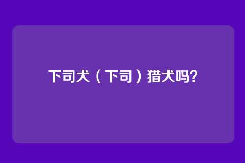 下司犬(下司)猎犬吗?