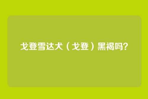 戈登雪达犬(戈登)黑褐吗?