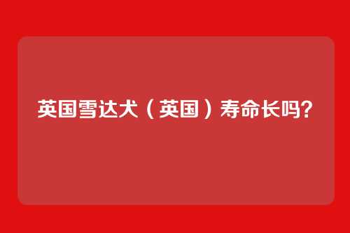 英国雪达犬（英国）寿命长吗？