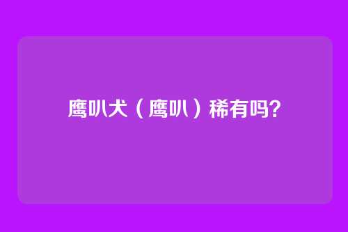 鹰叭犬(鹰叭)稀有吗?