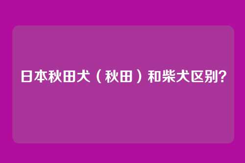 日本秋田犬（秋田）和柴犬区别？
