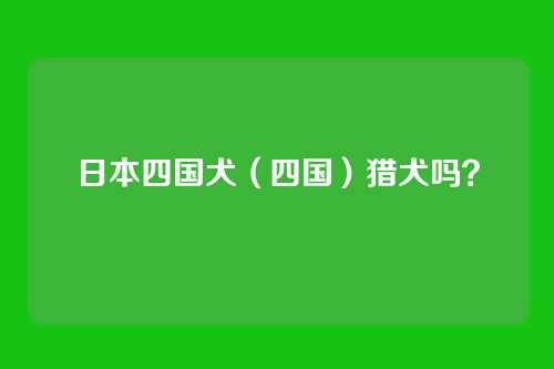日本四国犬（四国）猎犬吗？