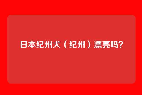日本纪州犬(纪州)漂亮吗?
