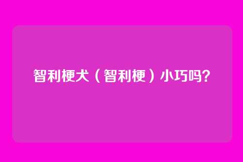 智利梗犬（智利梗）小巧吗？