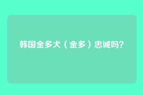 韩国金多犬（金多）忠诚吗？