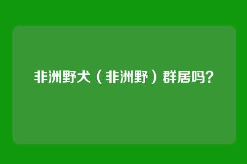 非洲野犬(非洲野)群居吗?