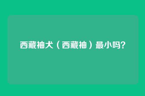 西藏袖犬(西藏袖)最小吗?
