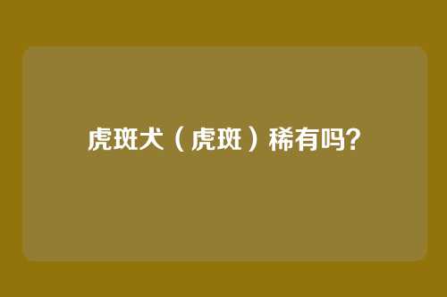 虎斑犬(虎斑)稀有吗?