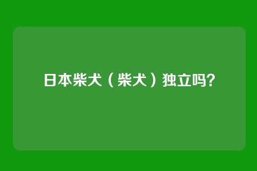 日本柴犬（柴犬）独立吗？