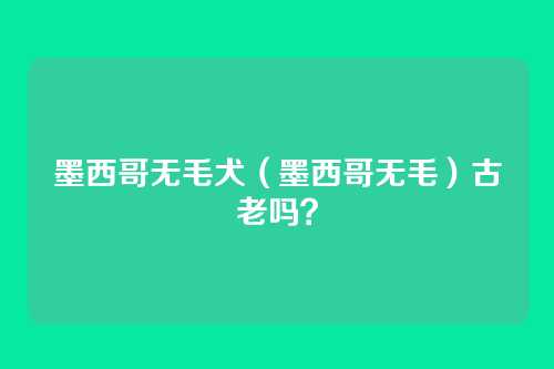 墨西哥无毛犬(墨西哥无毛)古老吗?