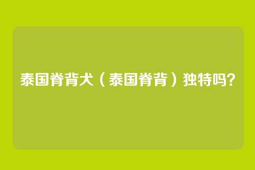 泰国脊背犬（泰国脊背）独特吗？