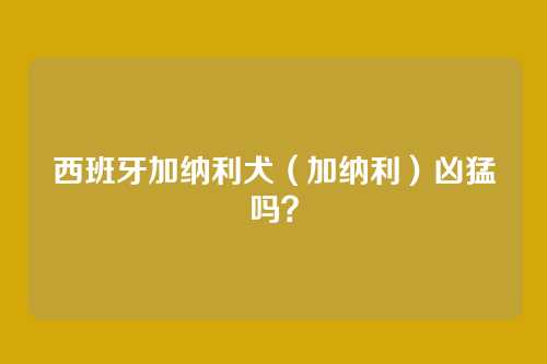 西班牙加纳利犬(加纳利)凶猛吗?