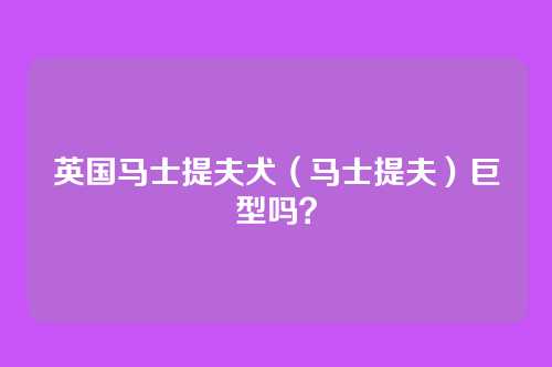 英国马士提夫犬（马士提夫）巨型吗？