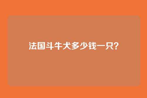 法国斗牛犬多少钱一只?