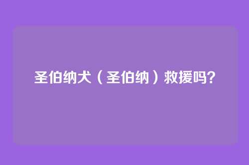 圣伯纳犬（圣伯纳）救援吗？