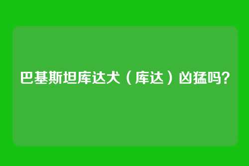 巴基斯坦库达犬(库达)凶猛吗?