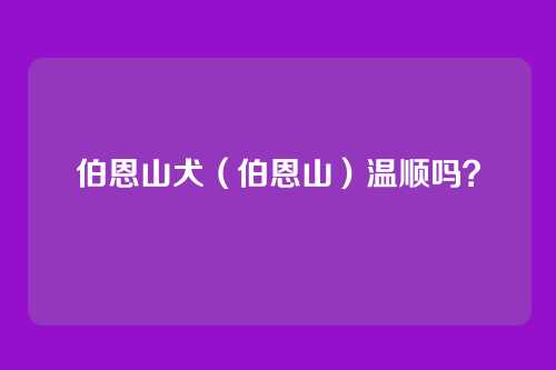 伯恩山犬（伯恩山）温顺吗？