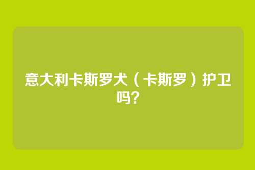 意大利卡斯罗犬(卡斯罗)护卫吗?