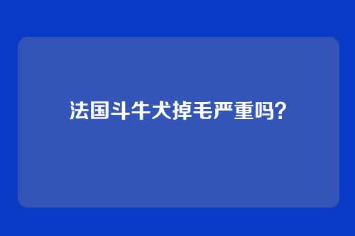 法国斗牛犬掉毛严重吗?