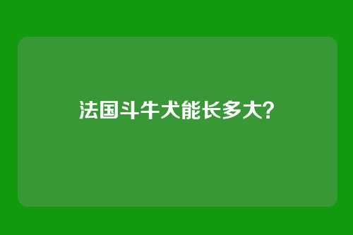 法国斗牛犬能长多大？