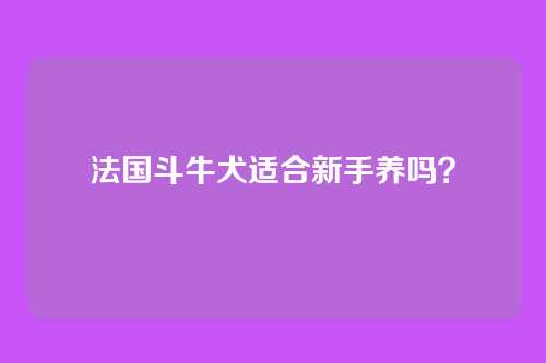 法国斗牛犬适合新手养吗?