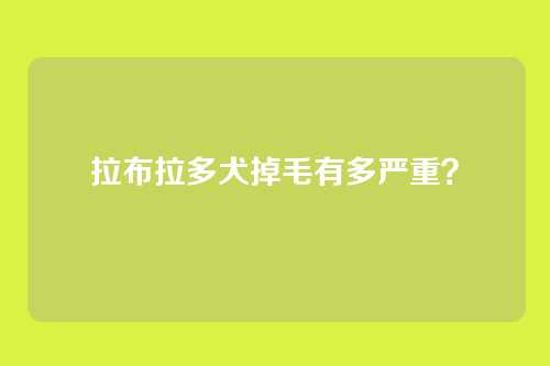 拉布拉多犬掉毛有多严重?