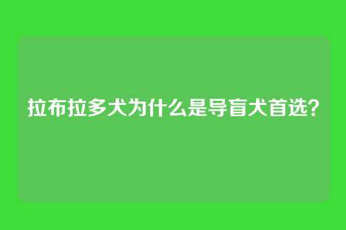 拉布拉多犬为什么是导盲犬首选？