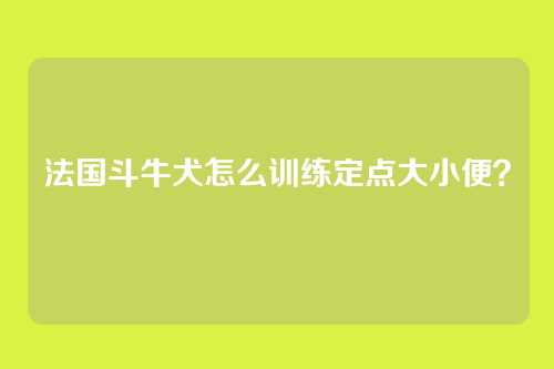 法国斗牛犬怎么训练定点大小便?