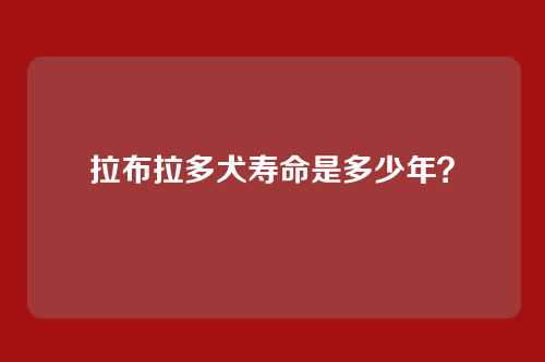 拉布拉多犬寿命是多少年?