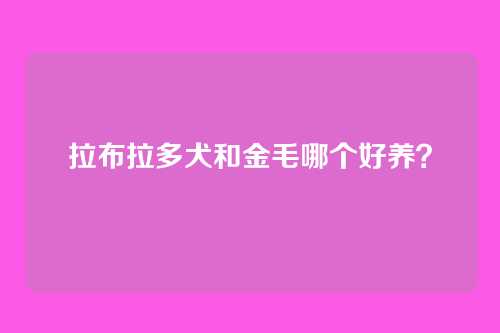拉布拉多犬和金毛哪个好养?