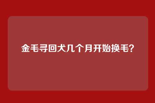 金毛寻回犬几个月开始换毛?