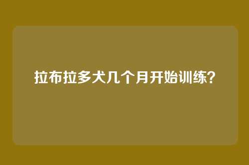 拉布拉多犬几个月开始训练？