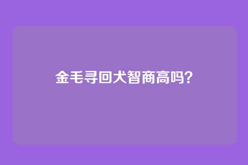 金毛寻回犬智商高吗？