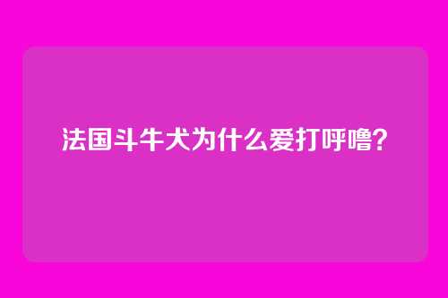 法国斗牛犬为什么爱打呼噜？