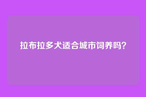 拉布拉多犬适合城市饲养吗？