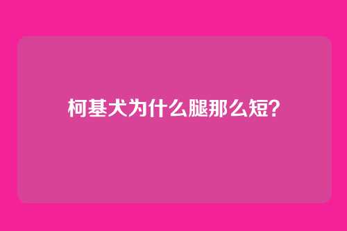 柯基犬为什么腿那么短?
