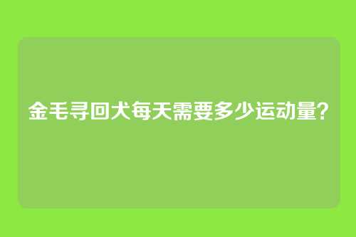 金毛寻回犬每天需要多少运动量?