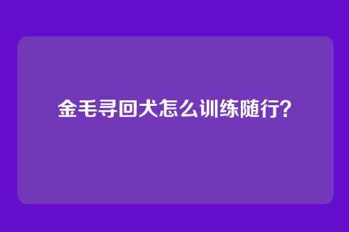 金毛寻回犬怎么训练随行?