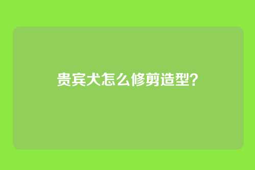 贵宾犬怎么修剪造型?