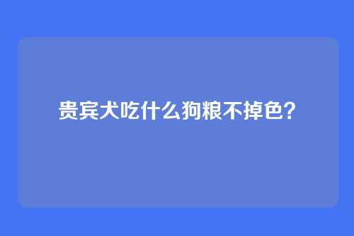 贵宾犬吃什么狗粮不掉色?