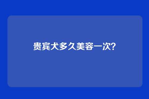 贵宾犬多久美容一次?