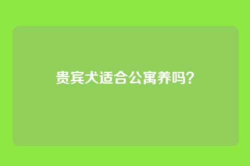 贵宾犬适合公寓养吗?
